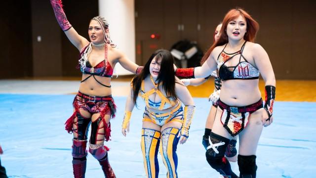 Stardom in Gifu