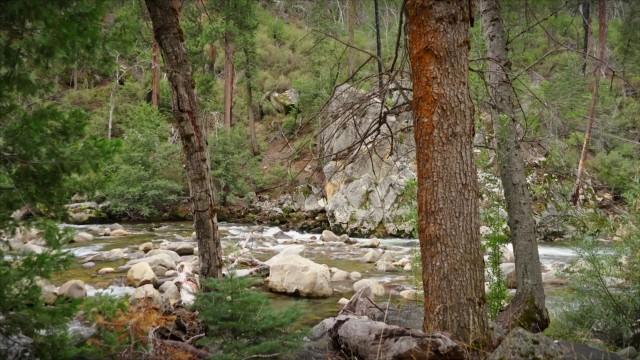 Kings Canyon National Park