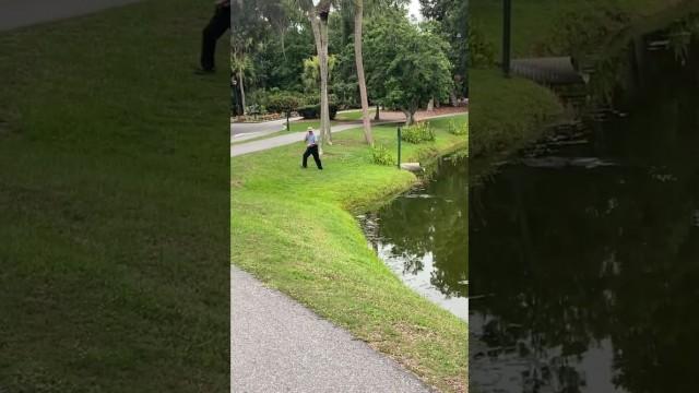 He Didn’t See the Alligator