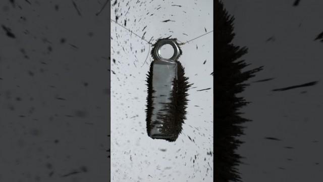 Visualizing Magnetic Fields with Slow Mo