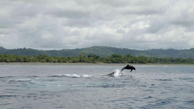 Costa Rica, pure life