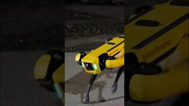 The Future Is Here
