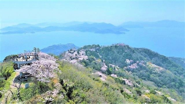 Sakura in the Seto Inland Sea