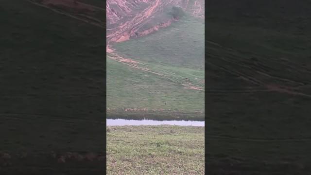 Rolling a Tire Down a Mountain