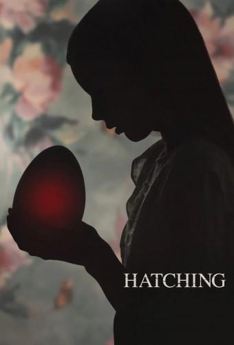 Hatching