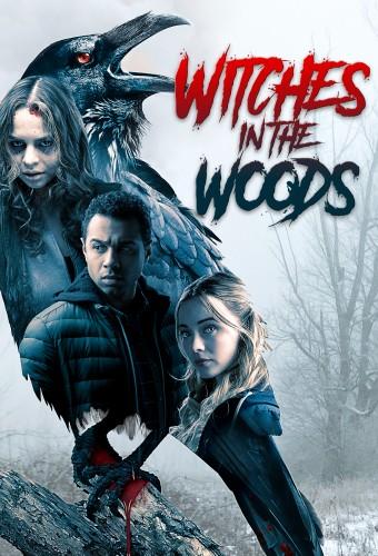 Witches in the Woods