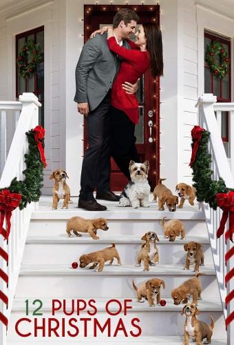 12 Pups of Christmas