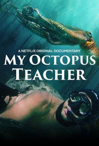 My Octopus Teacher