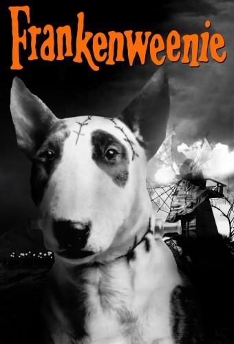 Frankenweenie