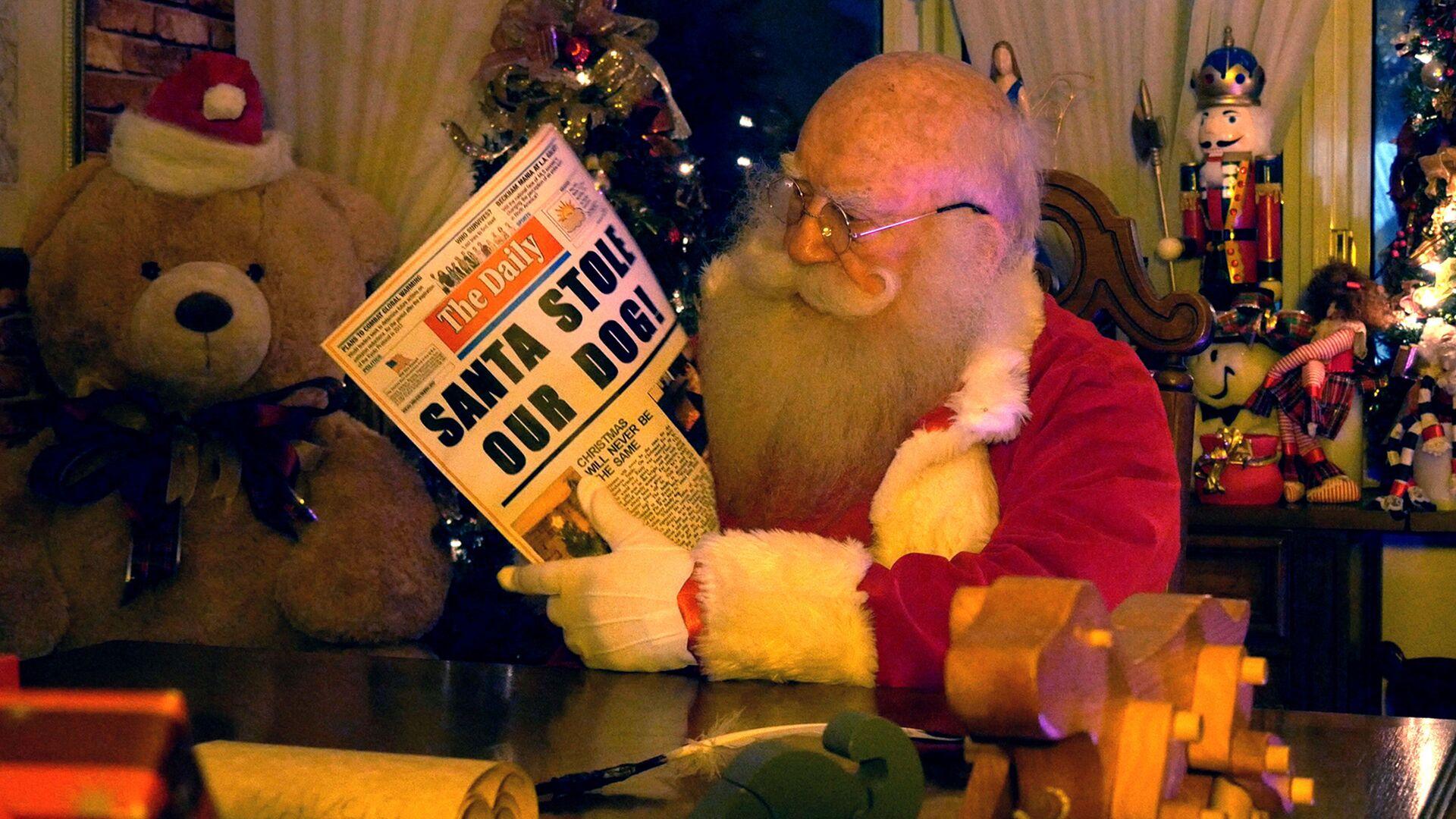 Santa Stole Our Dog: A Merry Doggone Christmas!