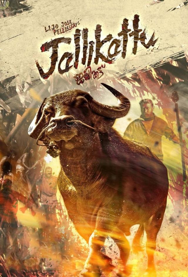 Jallikattu