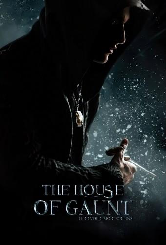 The House of Gaunt: Lord Voldemort Origins