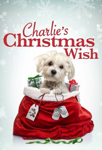 Charlie's Christmas Wish