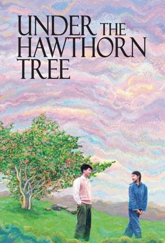 Under the Hawthorn Tree