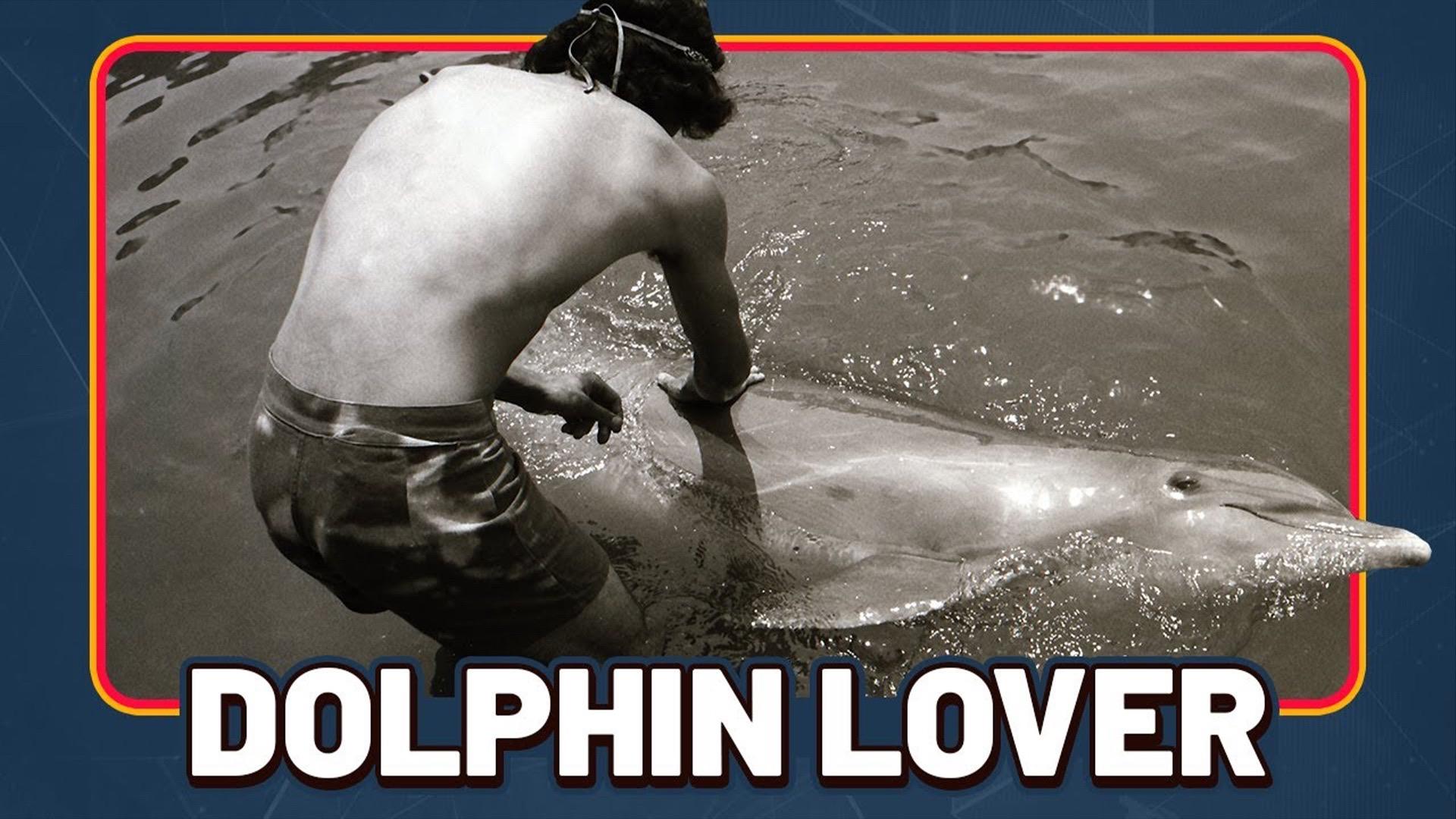 Dolphin Lover