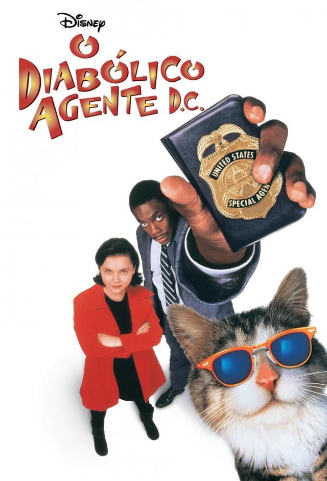 Operazione Gatto