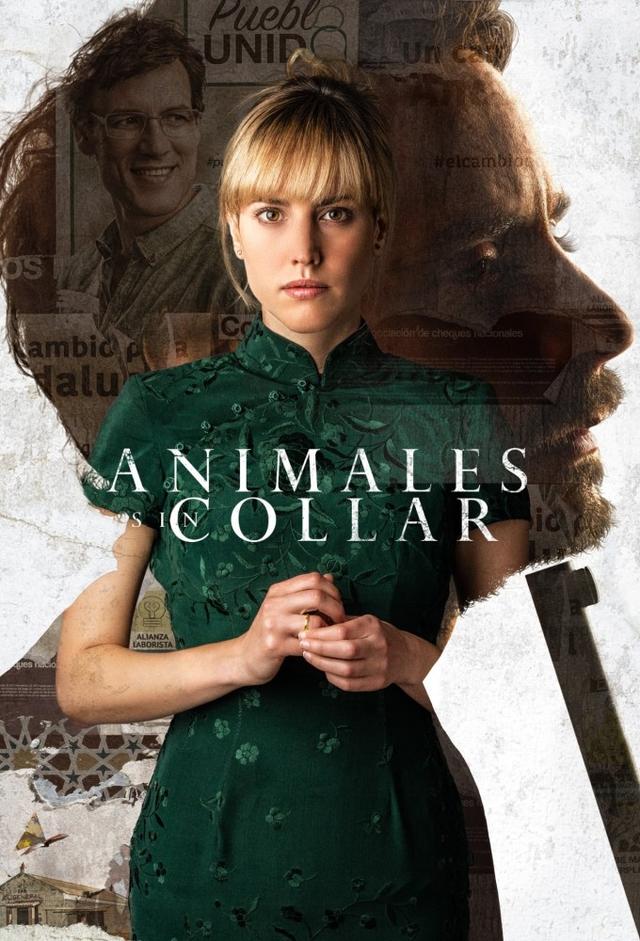 Animales sin collar