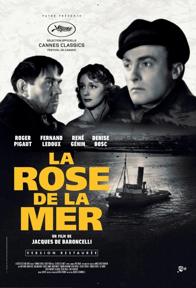 The Sea Rose