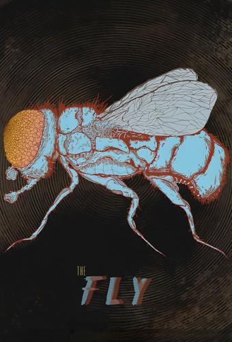 The Fly