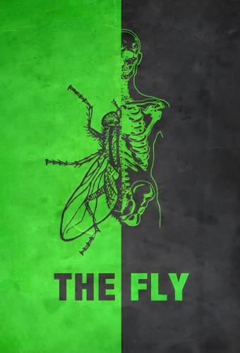 The Fly