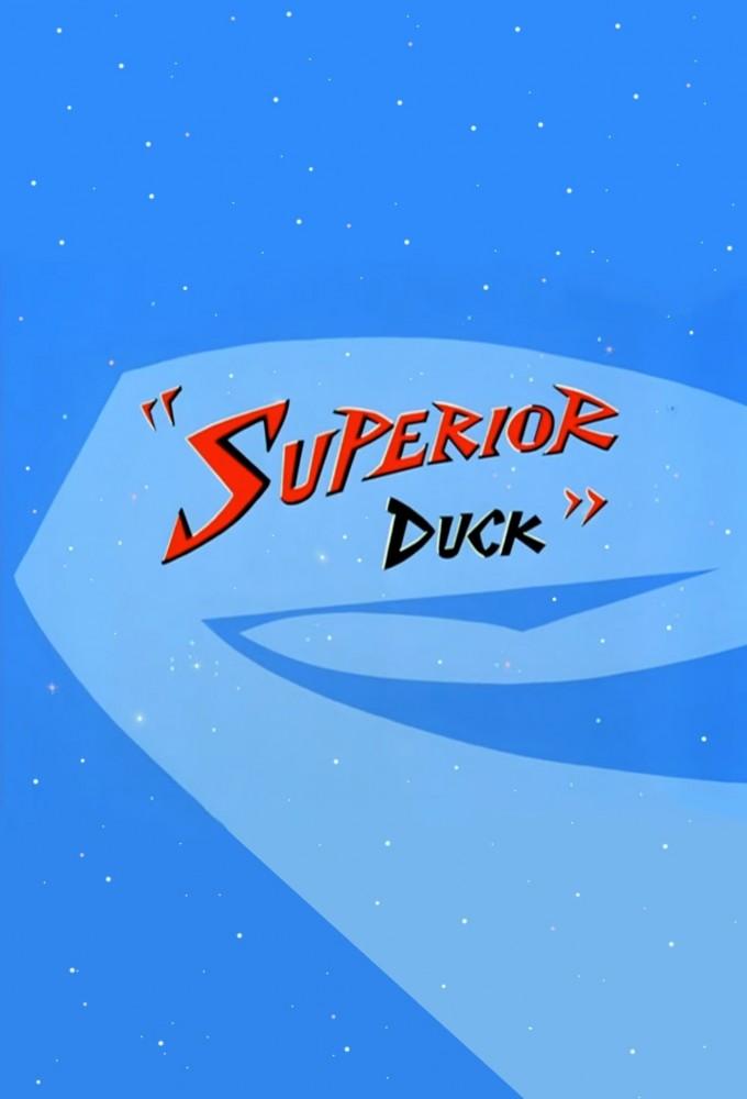 Superior Duck