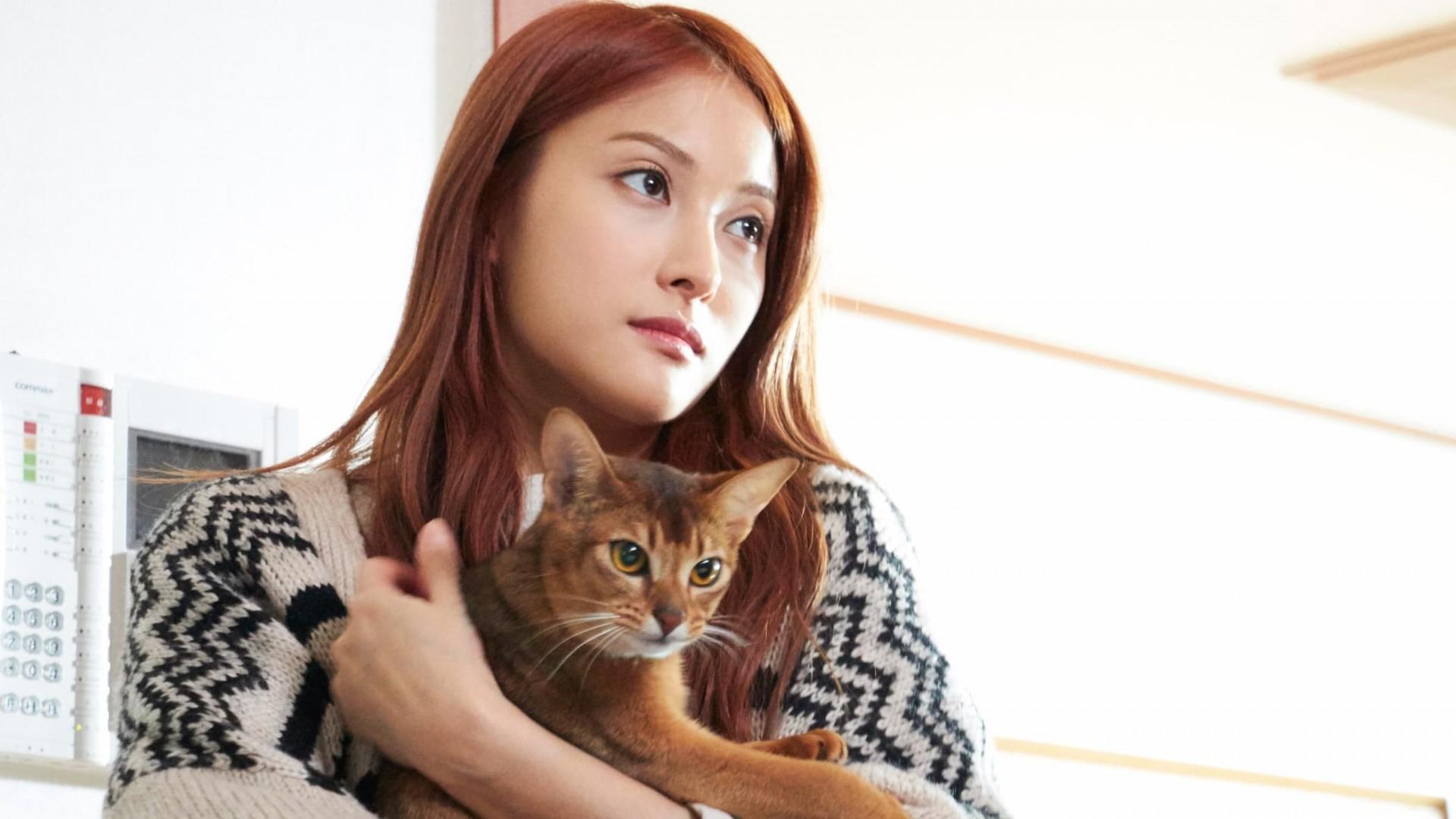 How to Break Up with My Cat