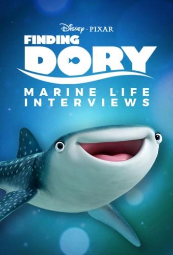Marine Life Interviews