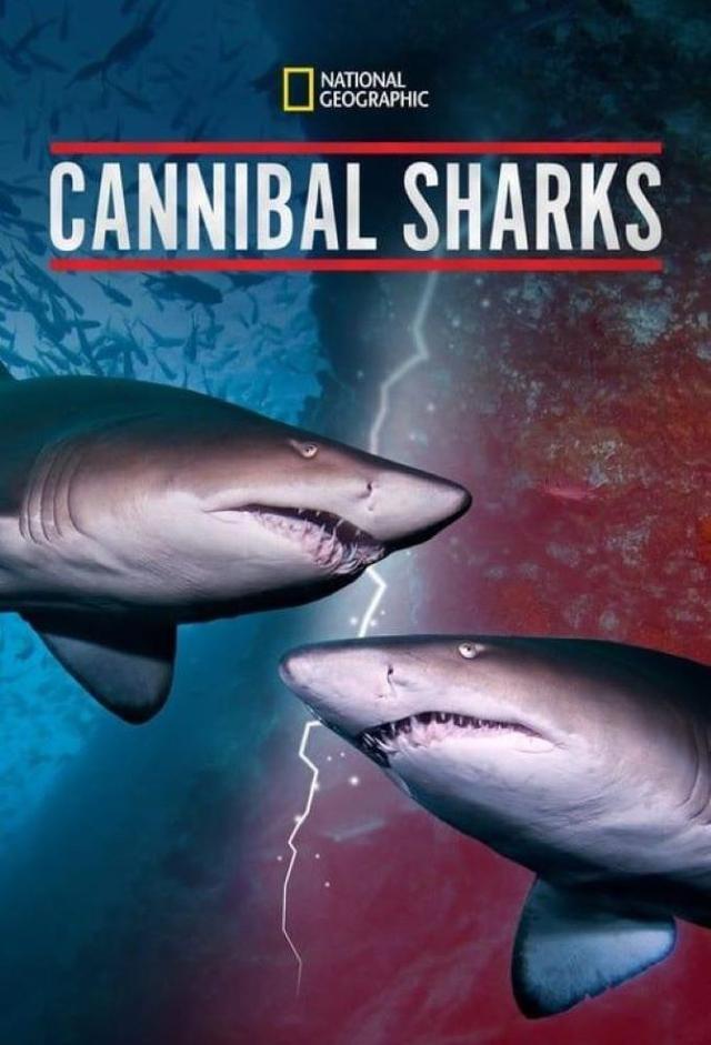 National Geographic Cannibal Sharks