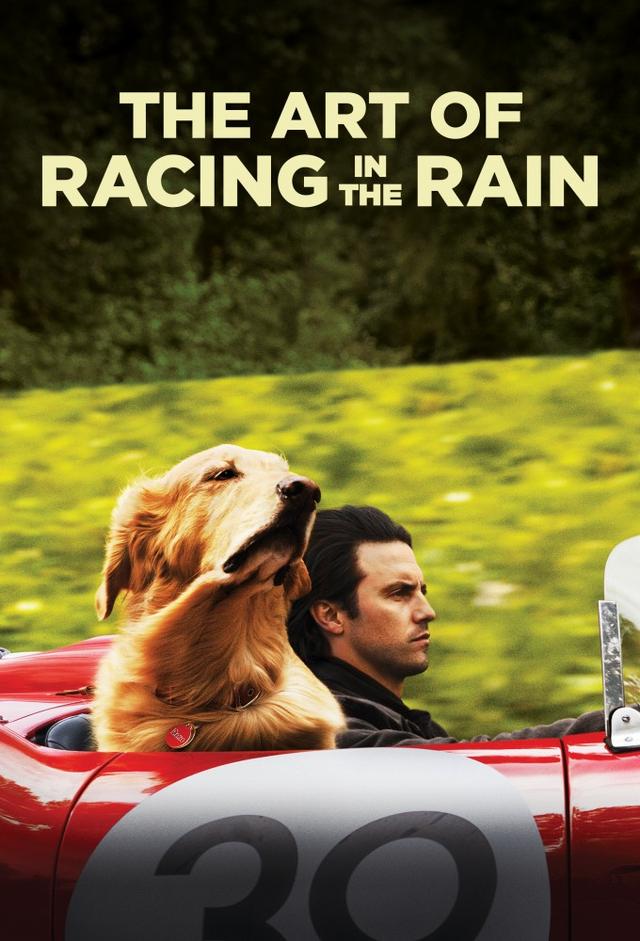 The Art of Racing in the Rain