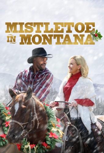 Mistletoe in Montana