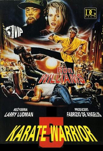 Karate warrior 5