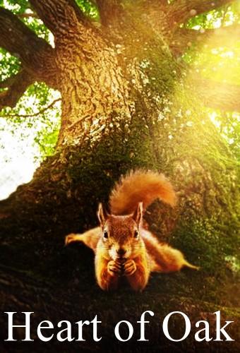 Heart of Oak