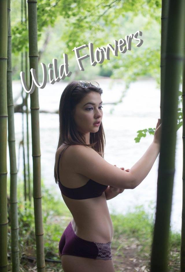 Wild Flowers