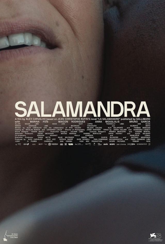 Salamandra