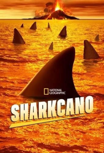 Sharkcano