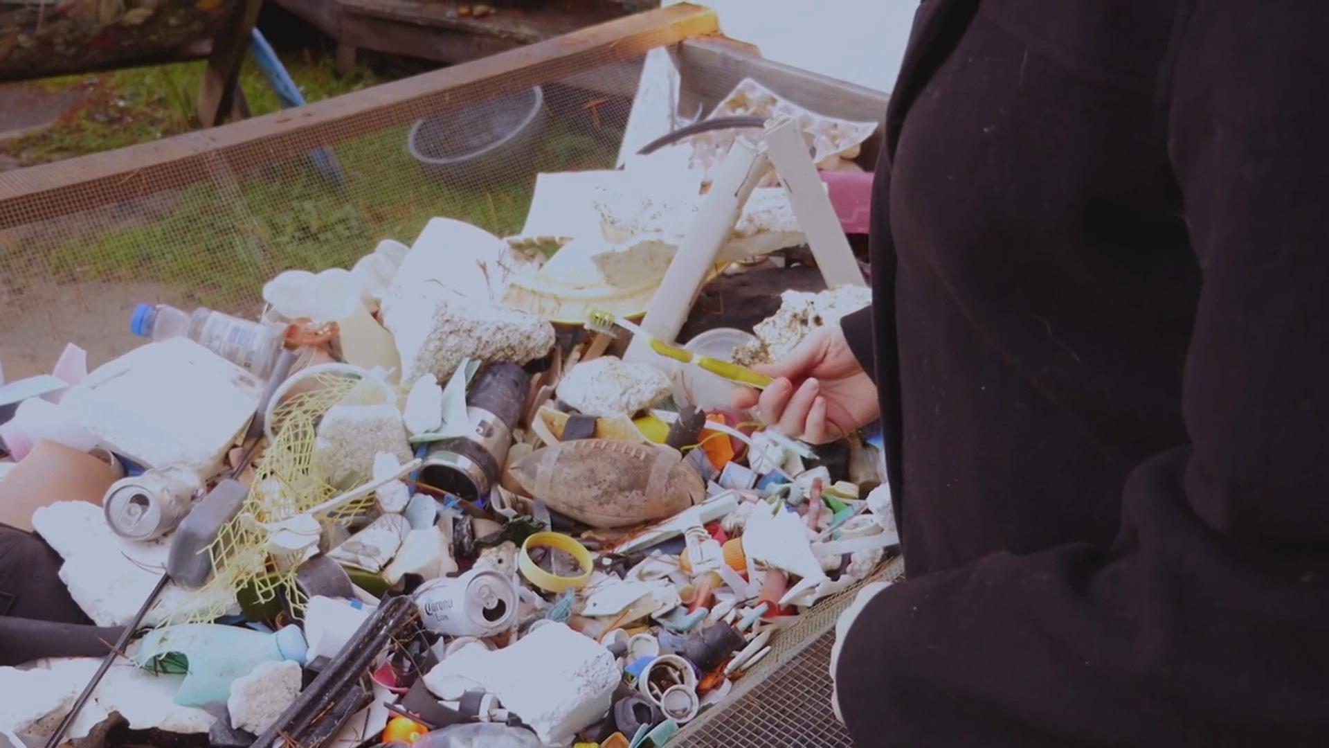 The Great Global Cleanup