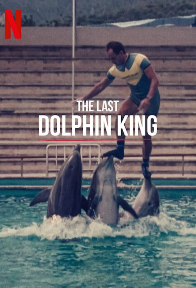 The Last Dolphin King