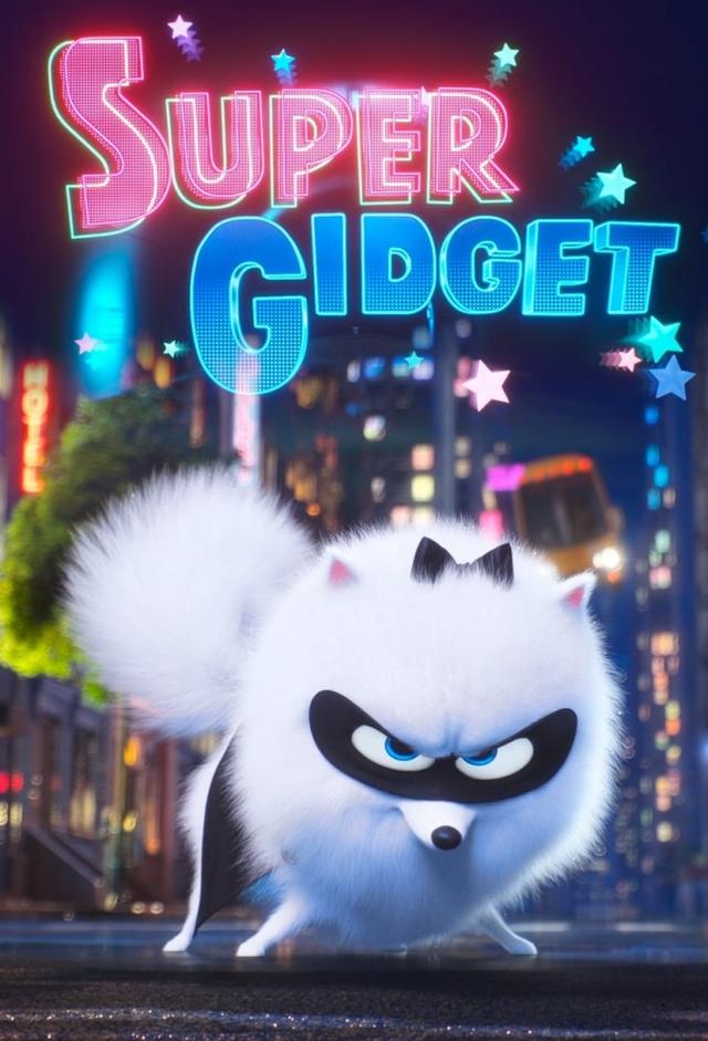 Super Gidget