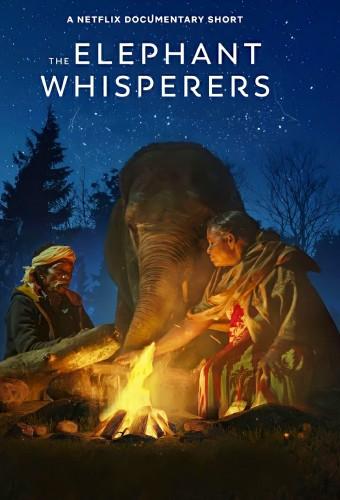 The Elephant Whisperers