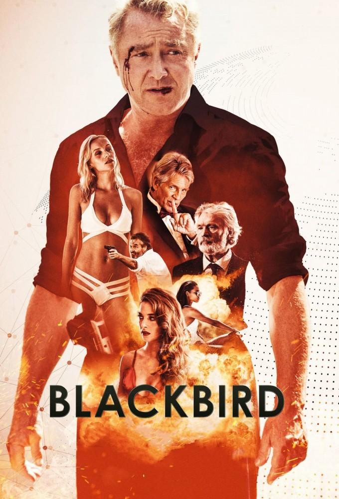 Blackbird