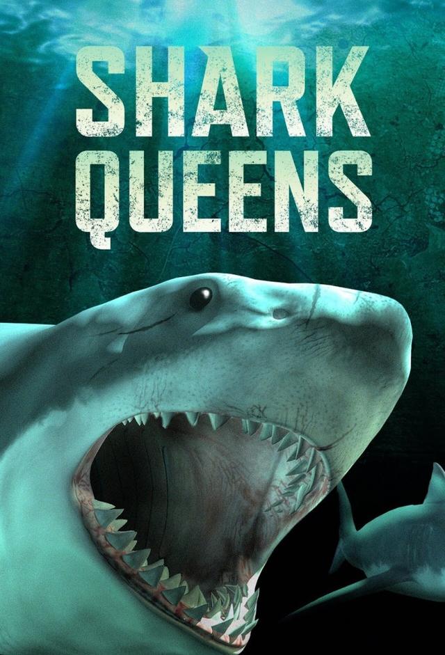 Shark Queens