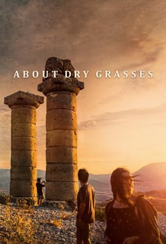 About Dry Grasses