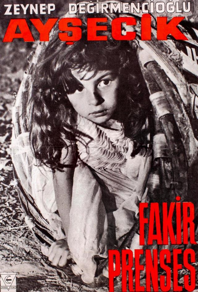 Aysecik the Poor Princess