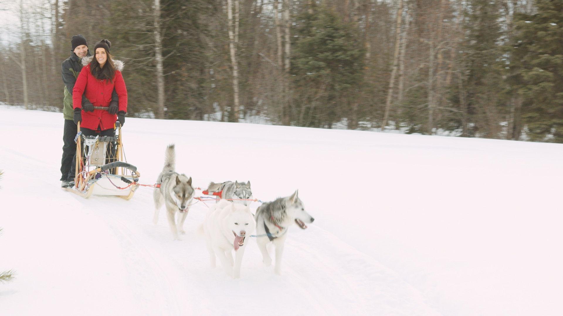 A Great North Christmas 