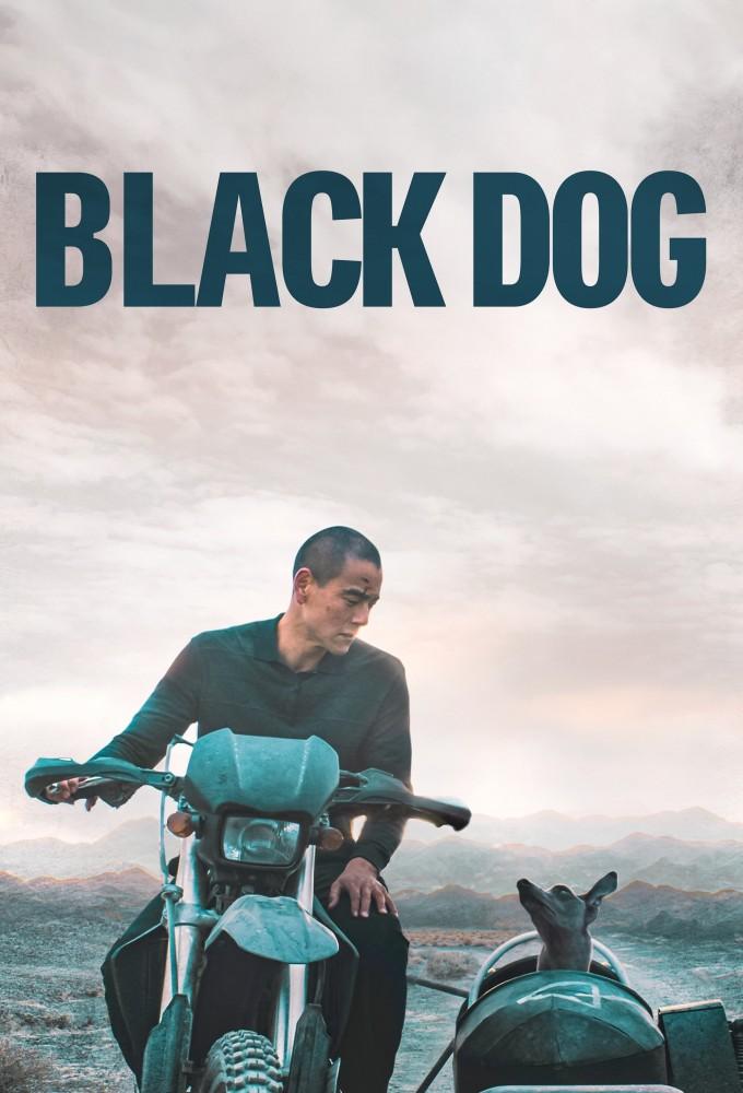 Black Dog