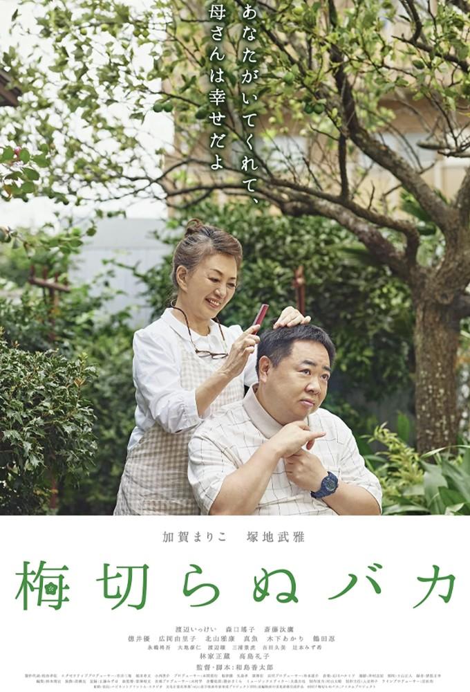 梅切らぬバカ
