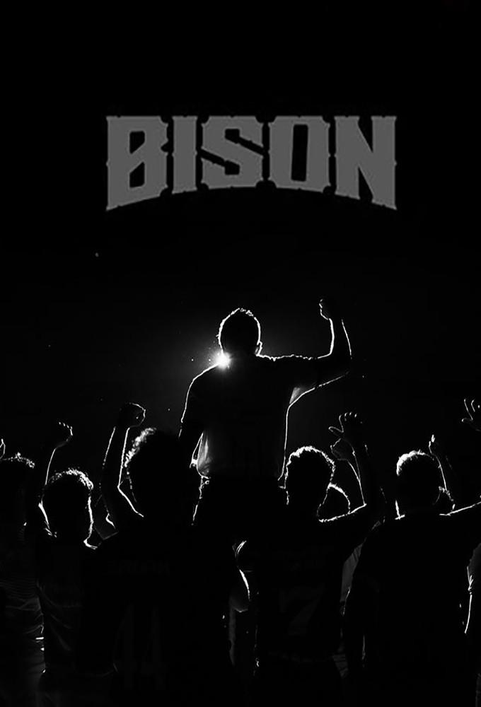 Bison