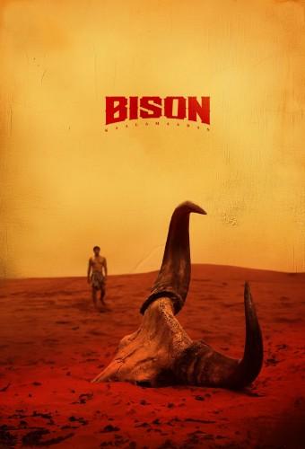 Bison