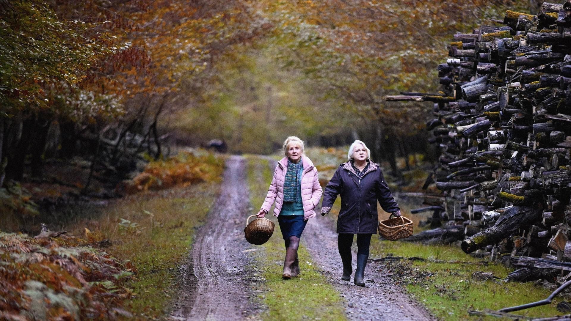 Quand vient l'automne