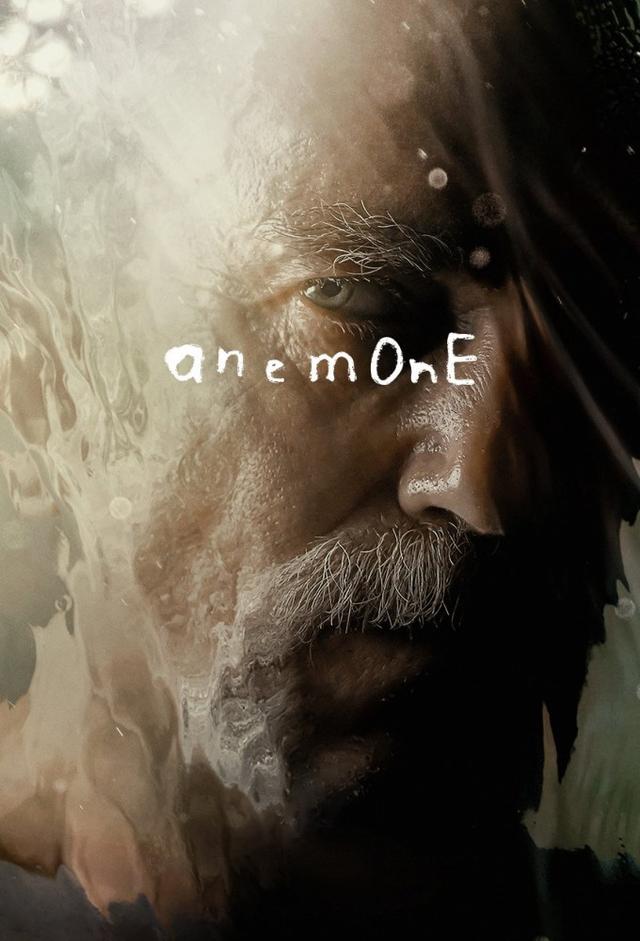 Anemone